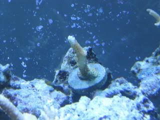 IMG_1102.jpg