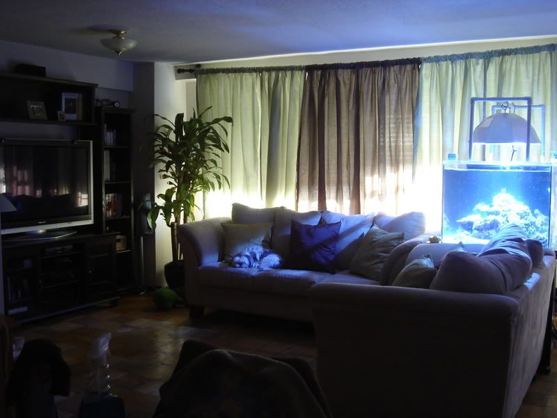 2008_0323100g-square0023.jpg