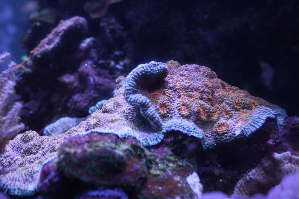 IMG_7890.jpg