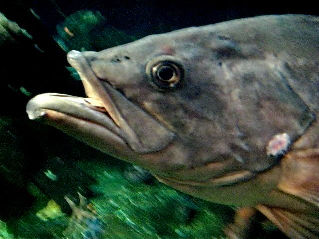IMG_0465.jpg