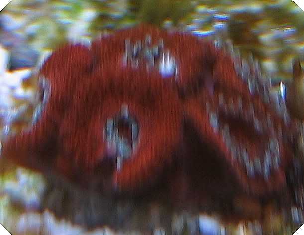 micro3.jpg