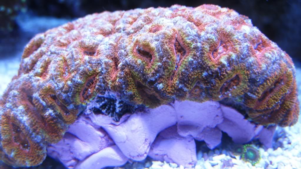 IMG_0639.jpg