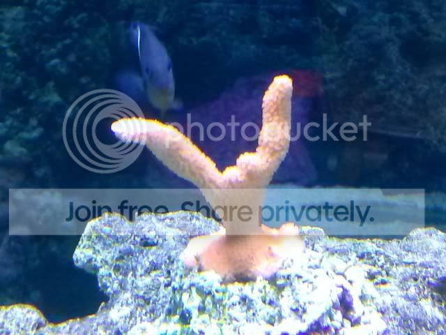 CAM00854.jpg