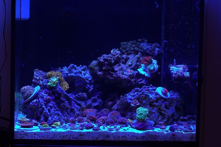 FTS.jpg
