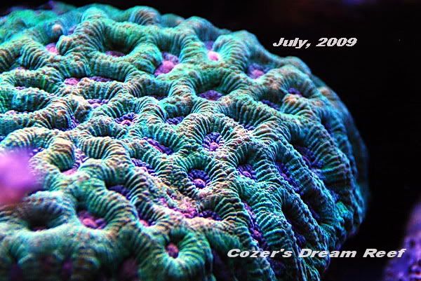 DSC_0155.jpg