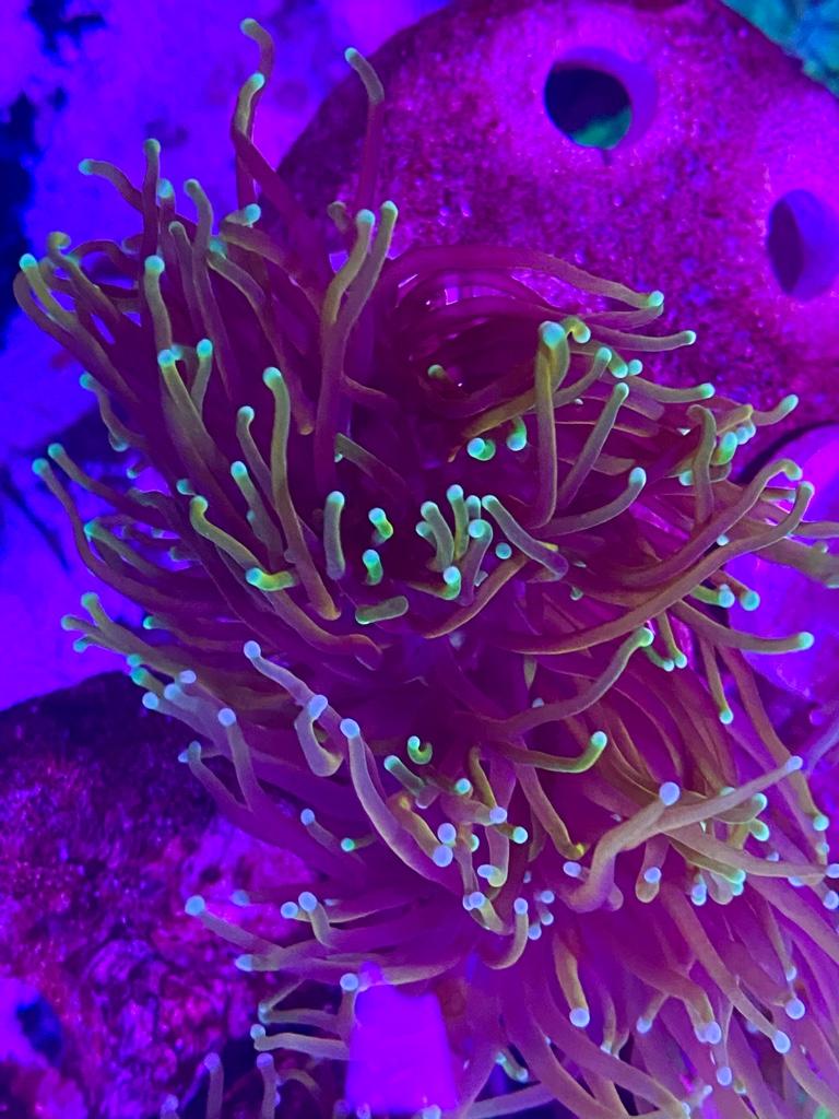 836f5fd612117da5f9c553bf1112d08d.jpg