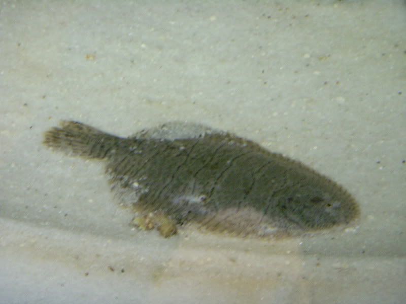 DSCN1130.jpg