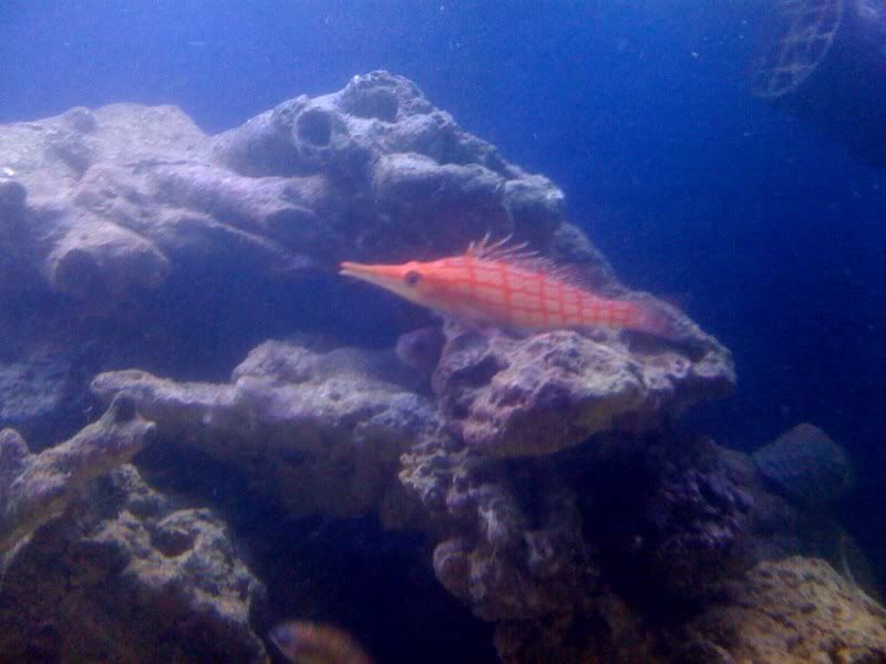 photo2.jpg