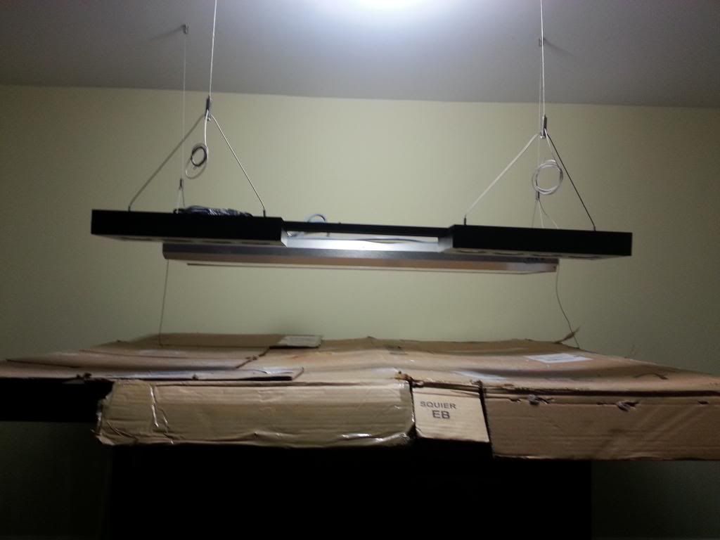 20121210_212919-1.jpg