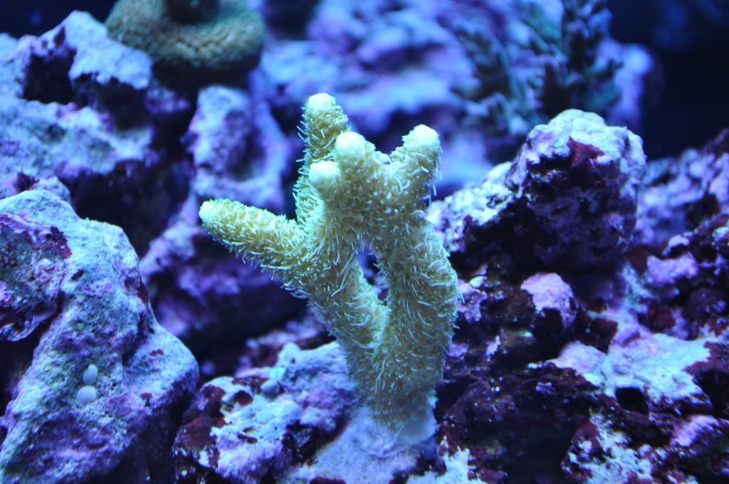 DSC_0557.jpg