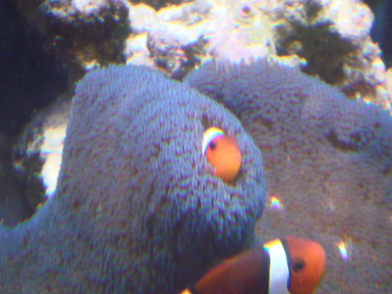 DSC01123.jpg