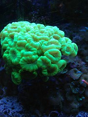 8619185212_a5a21cab81_m.jpg