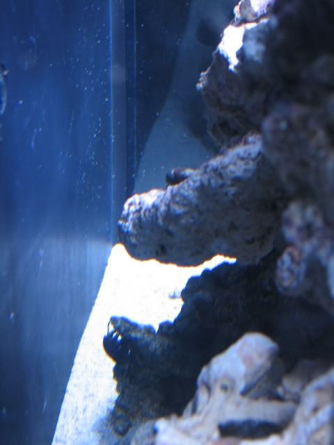 IMG_1155.jpg