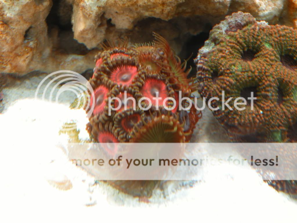 DSCN4290.jpg