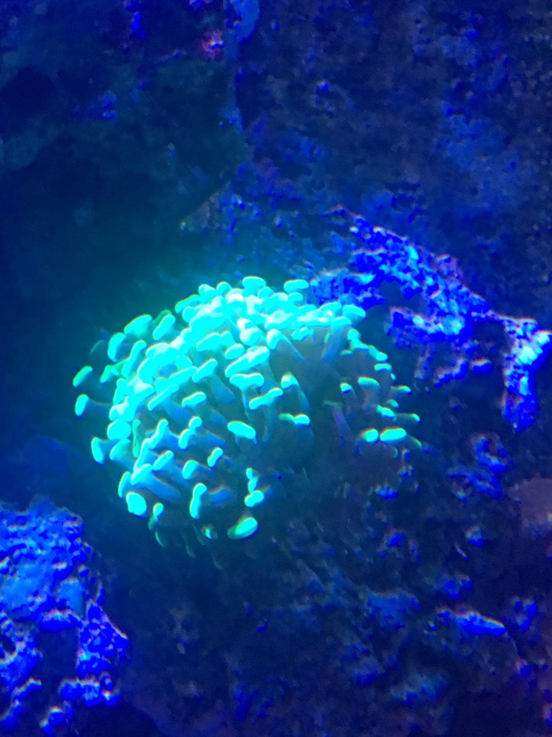 704e46dc63dac1871d9e7b2115c89e94.jpg