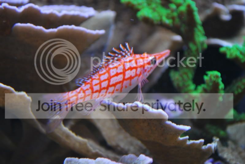 DSC_0252.jpg