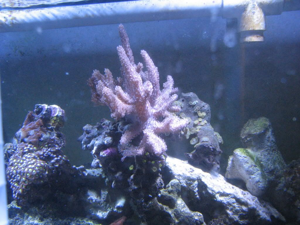 IMG_1533.jpg