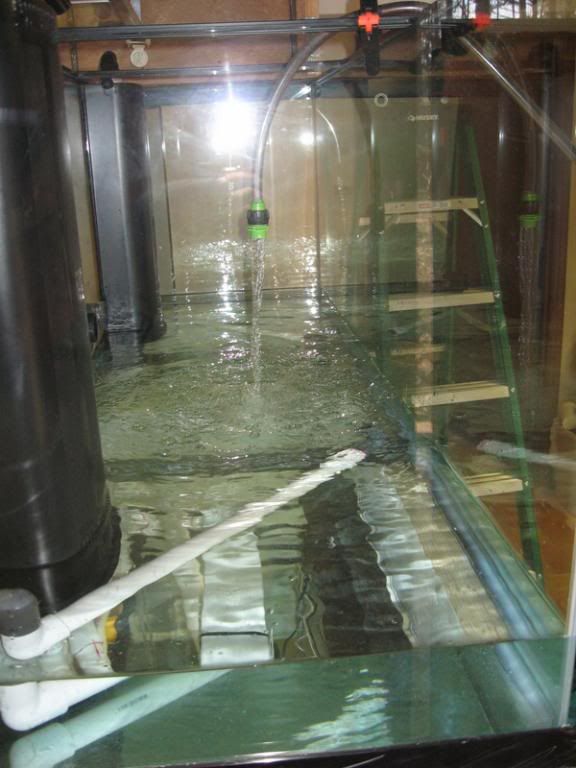 210-Filling001-1.jpg