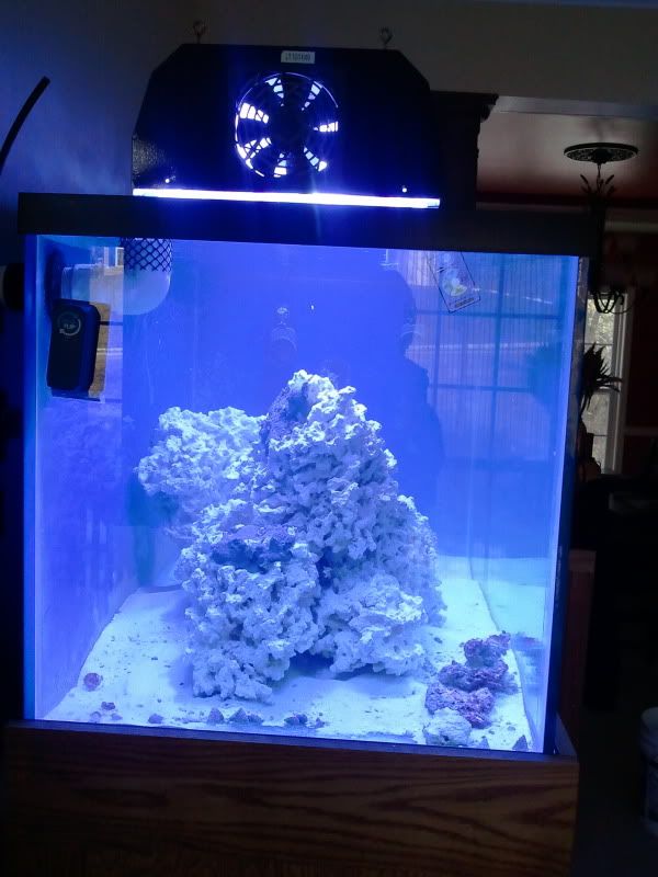 2011-03-28170538.jpg