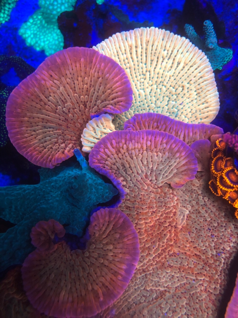 fd964739760455b3d3b62e4c5e15787c.jpg