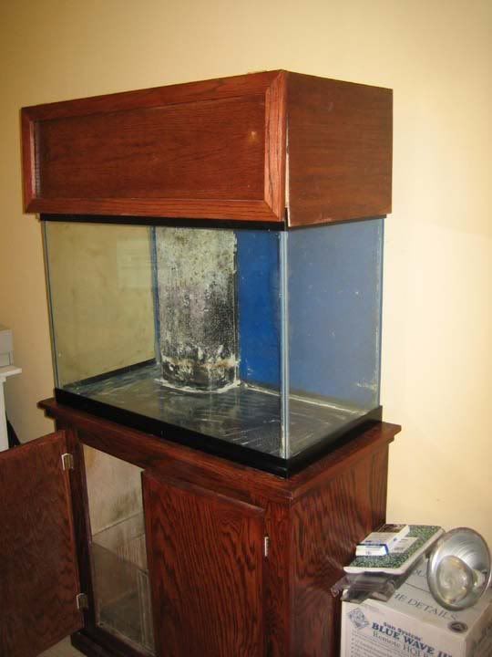 65g2.jpg