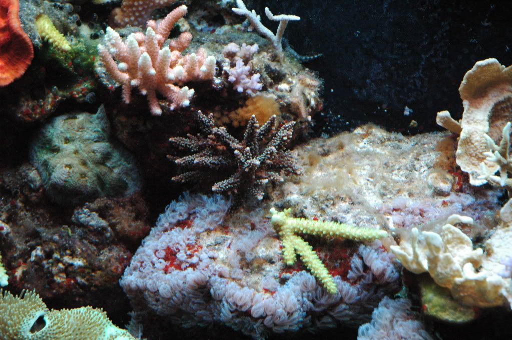 DSC_8319.jpg