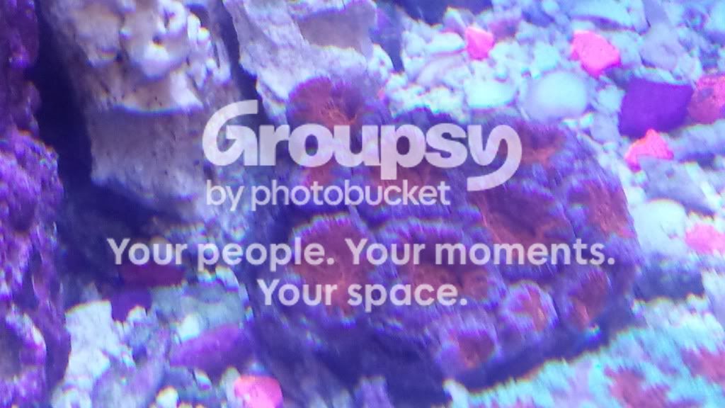 20130912_153711.jpg
