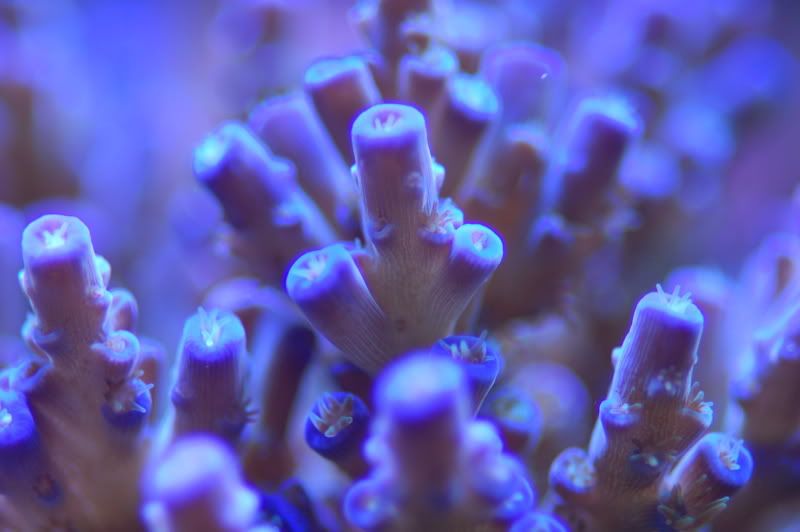 fishstuff1005.jpg
