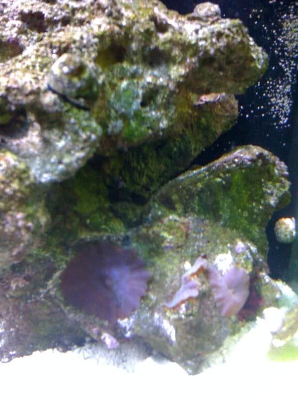 tank028.jpg