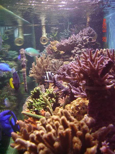 DSC00813Medium.jpg