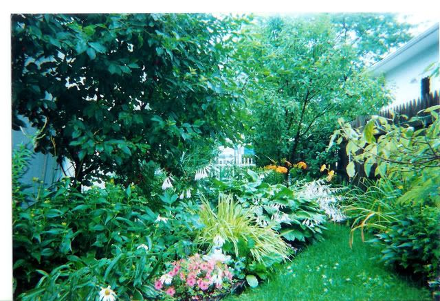 Pond016.jpg