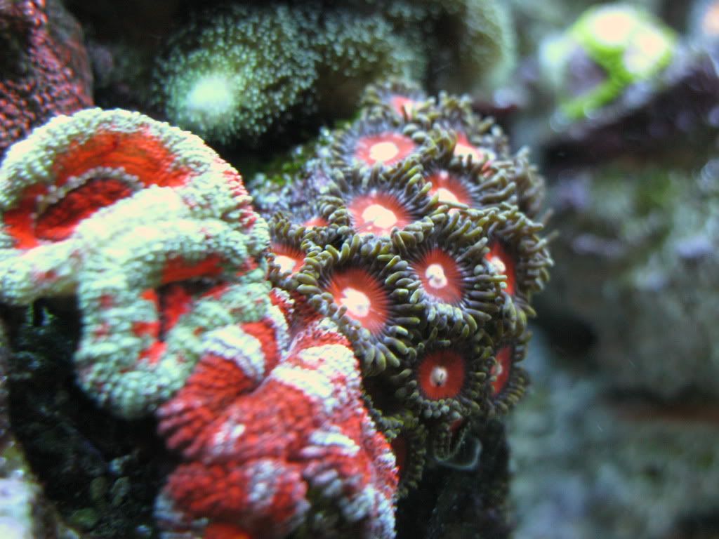 IMG_1319.jpg