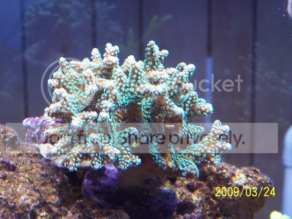 100_4967.jpg