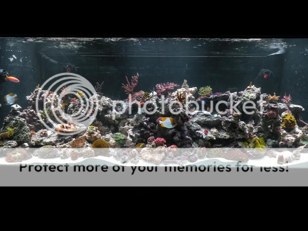 DSCN4160.jpg