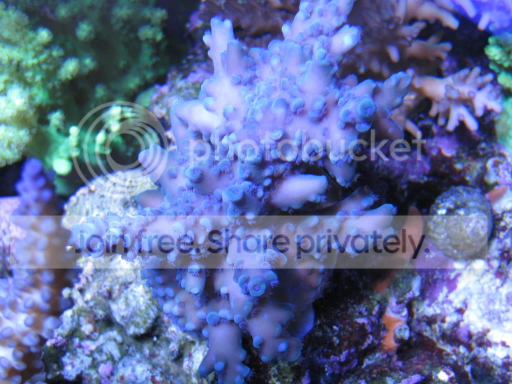 IMG_1277.jpg