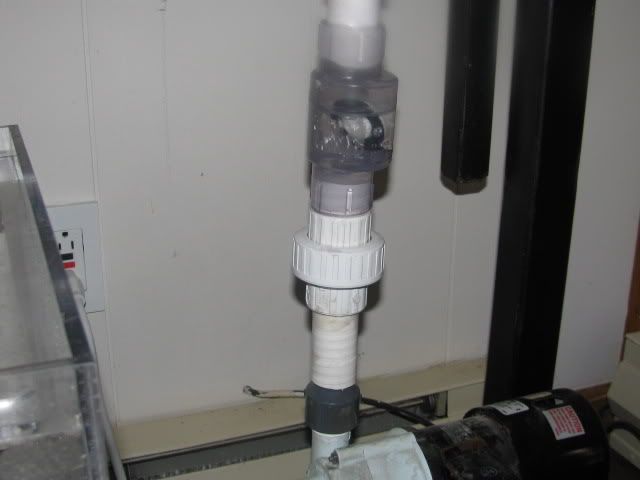 CheckValve001.jpg