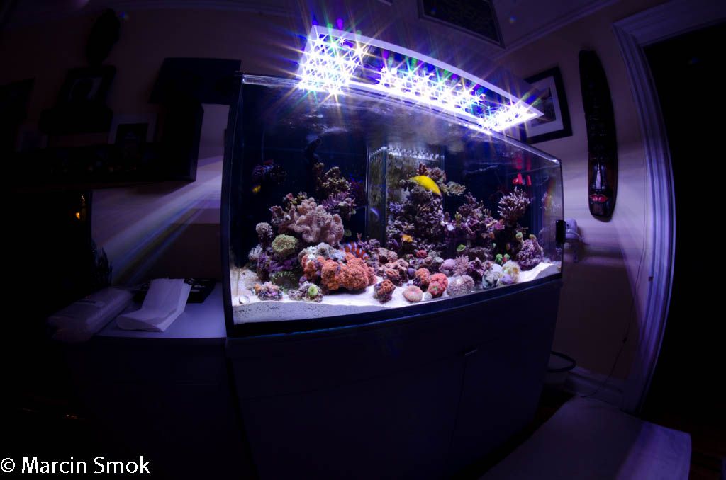fts2.jpg