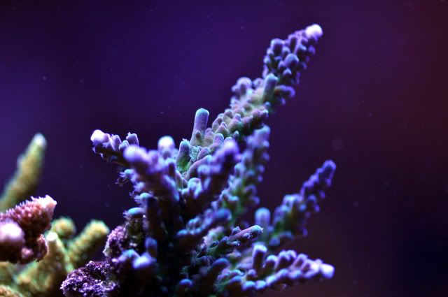 DSC_0623_edited.jpg