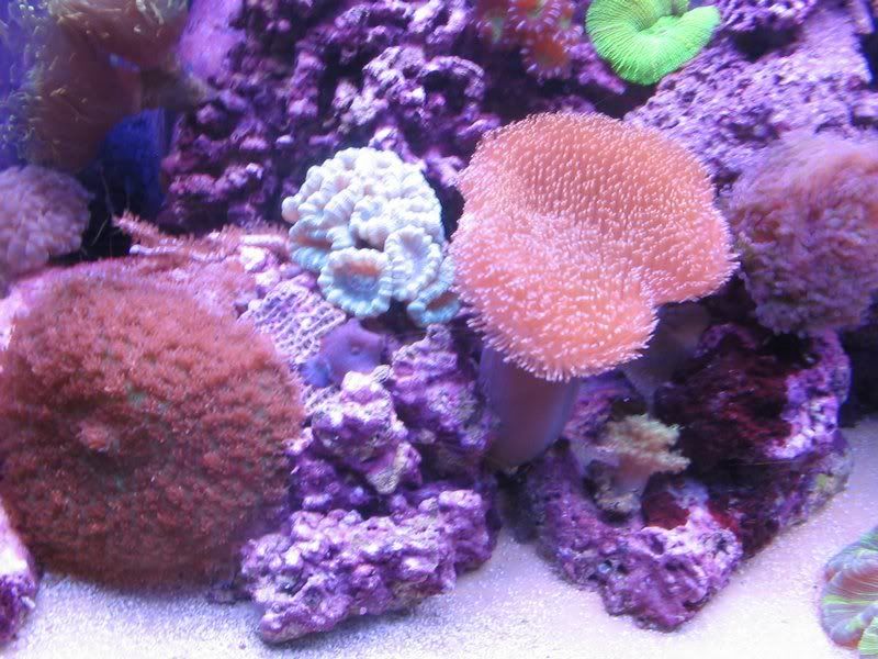 2-23-07February033.jpg