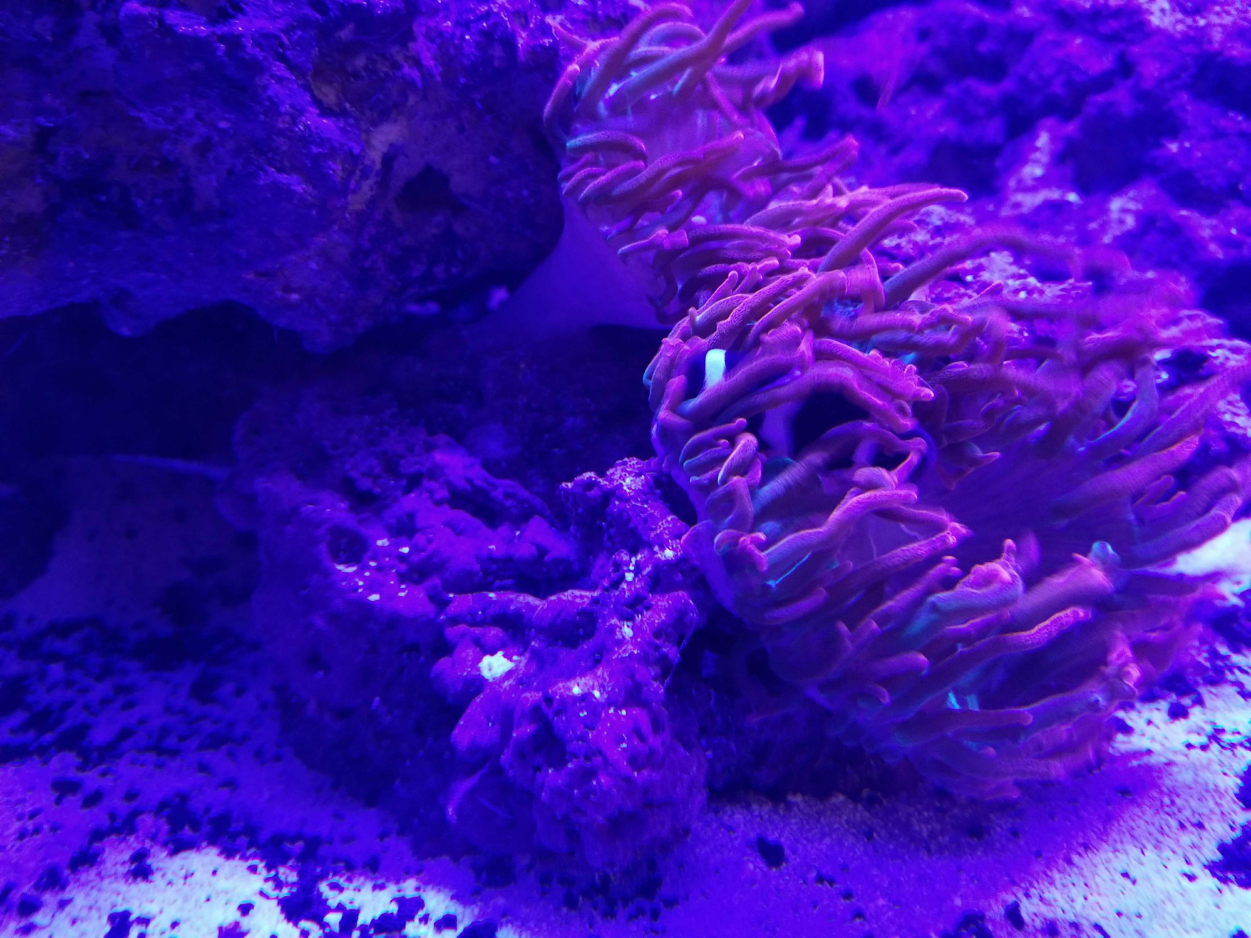 1e321f52133416d45c9c94f5797e80fb.jpg