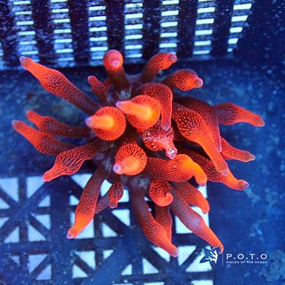 47645525672_83b71c6b24_n.jpg