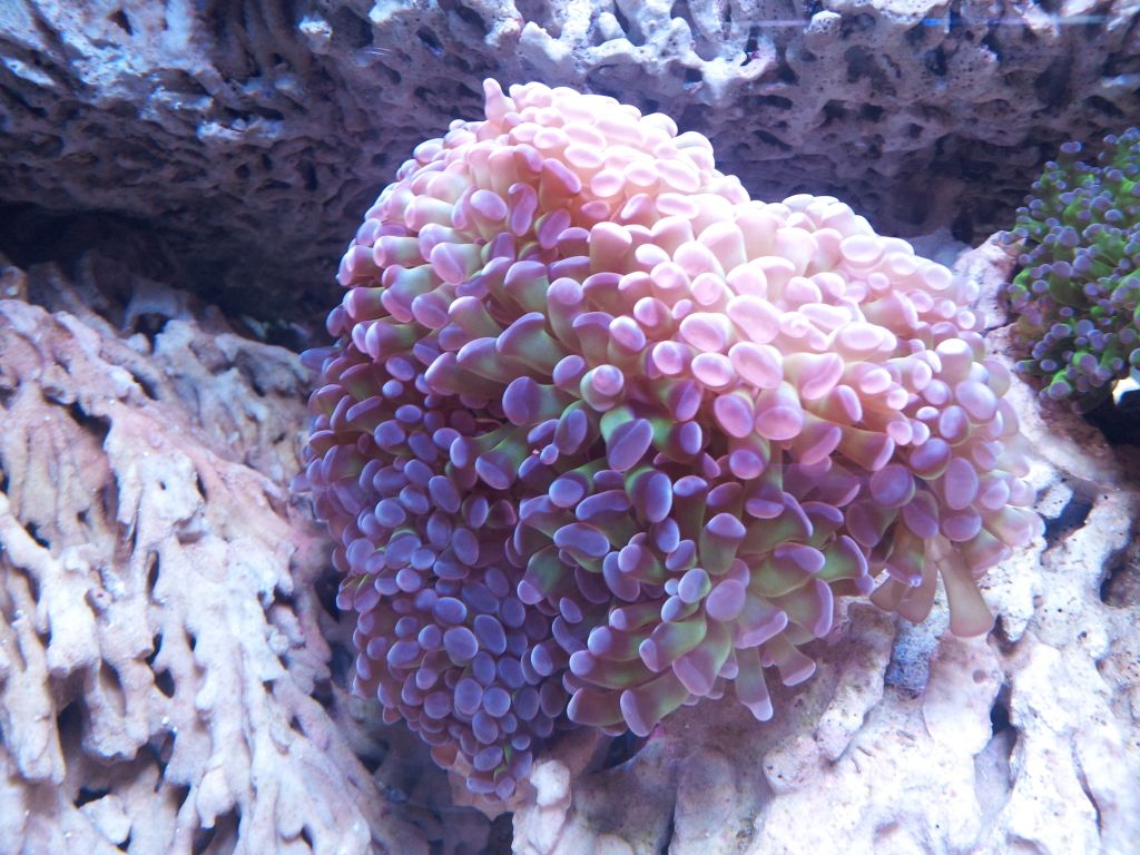 2012-05-07140234.jpg