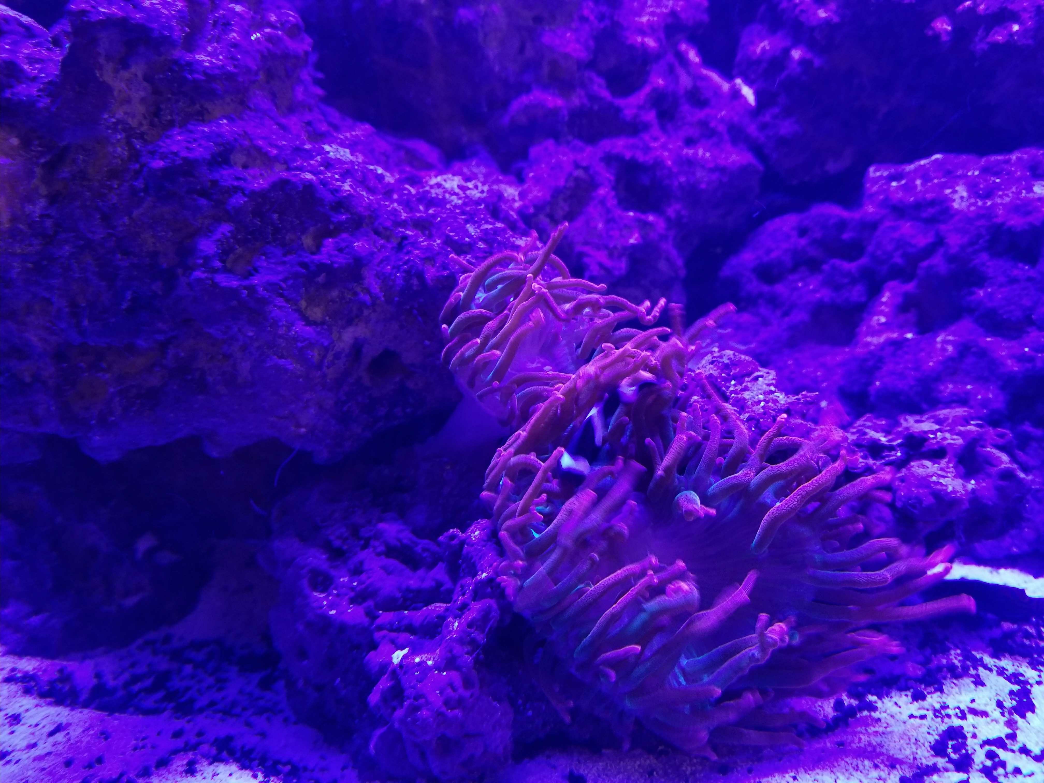 ff3326007c5d9c1e96cb26f0a4bbaba5.jpg