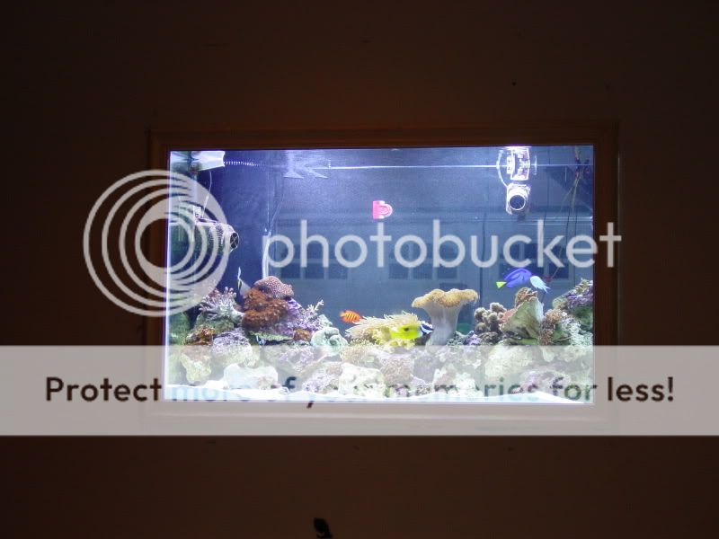 DSC02693.jpg