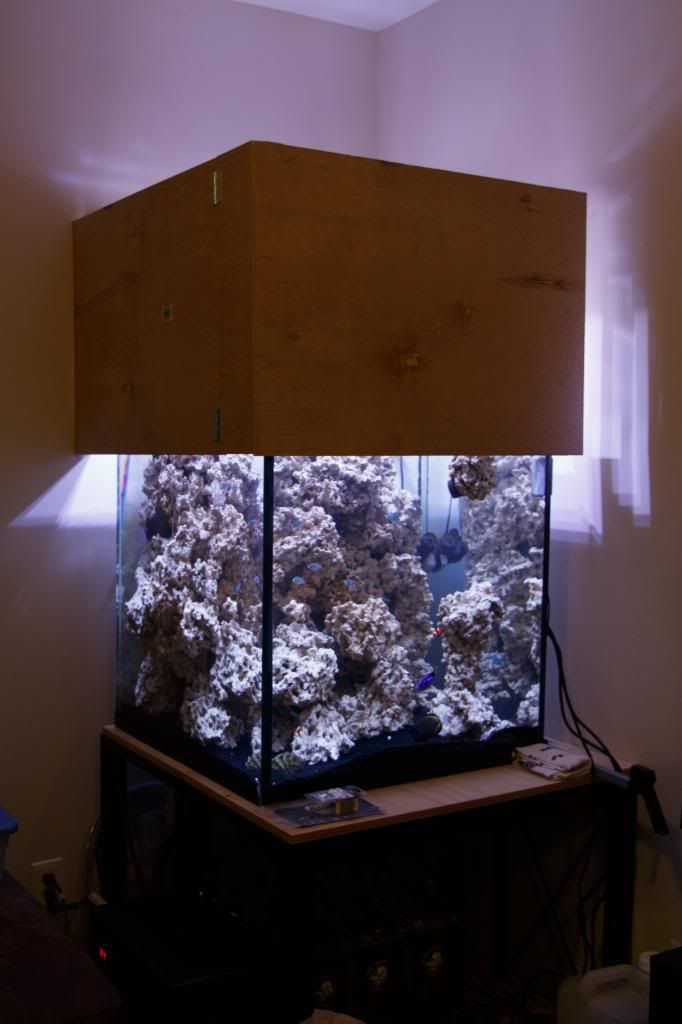 Aquarium-14.jpg