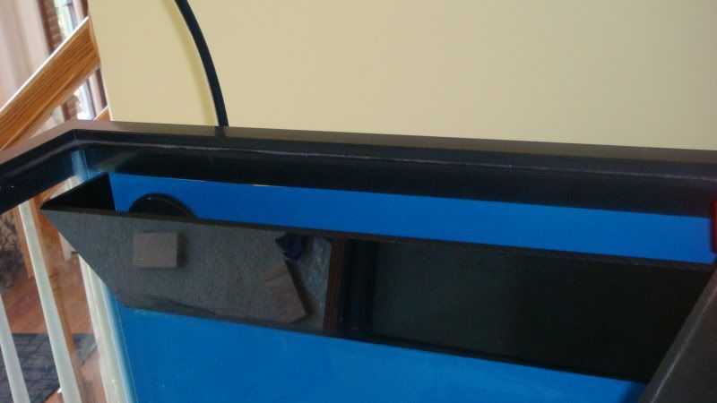 DSC02011.jpg