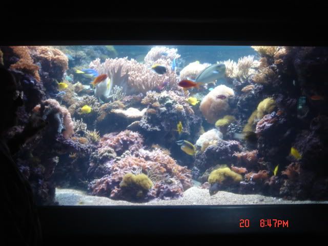 DSC01410.jpg