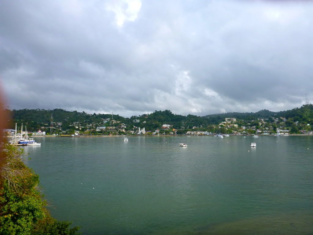 P1000156.jpg
