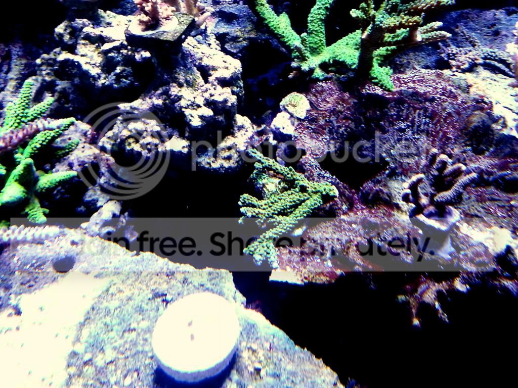 20140211_163123_zps9bad5992.jpg