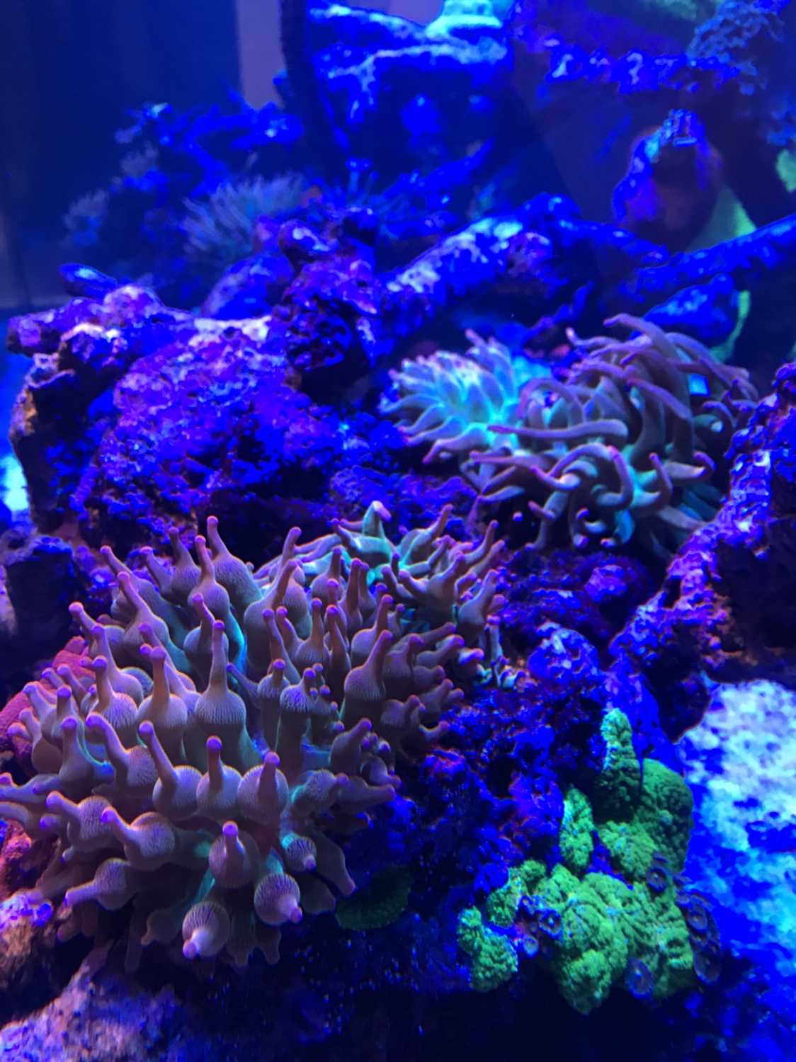 c899f90649b9ef4f0d7a406e121ad2cc.jpg